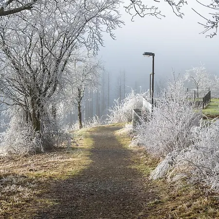 Panoramablick 08 - Im Harz Sankt Andreasberg
